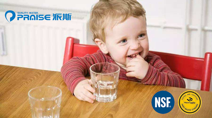 Praise��˹�s�@NSF�cWQA�p�J�C