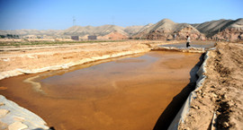 ���C���y��65���ؽ�����Ⱦ�����ޏ�(f��)�ɹ�